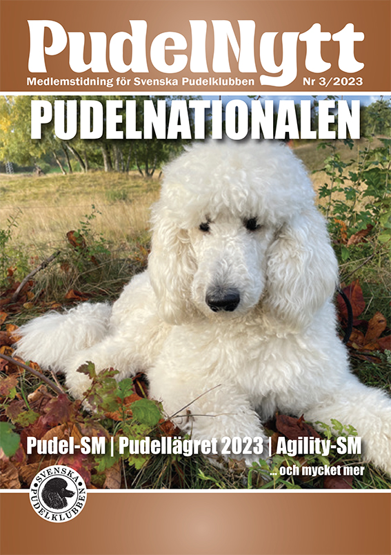 Pudelnytt