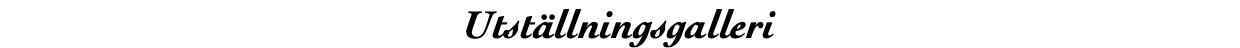 Utställningsgalleri