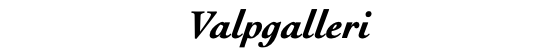 Valpgalleri